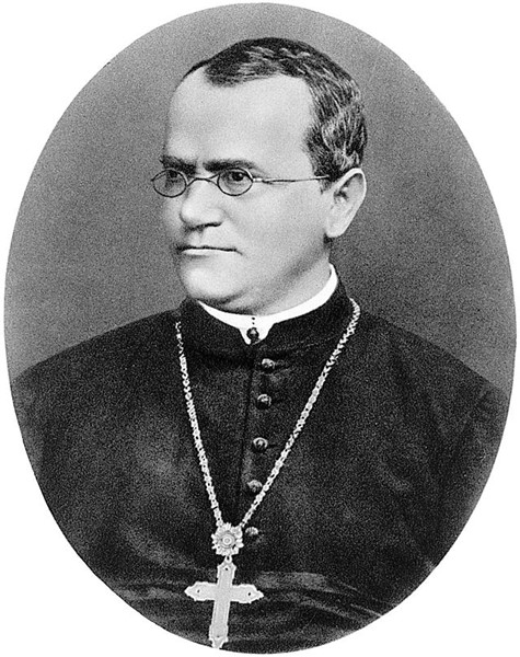 black and white portrait of Gregor Johann Mendel, a man with glasses, white clerical collar, black robe and heavy crucifix necklace.