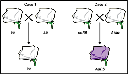 1.5: Linkage - Biology LibreTexts