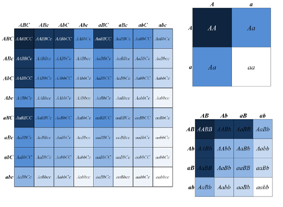 polygenic traits examples in animals