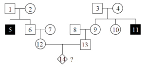 Black and white image of a pedigree chart showing three generations with all individuals assigned numbers from 1 to 14