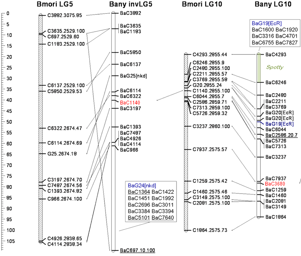 1.5: Linkage - Biology LibreTexts