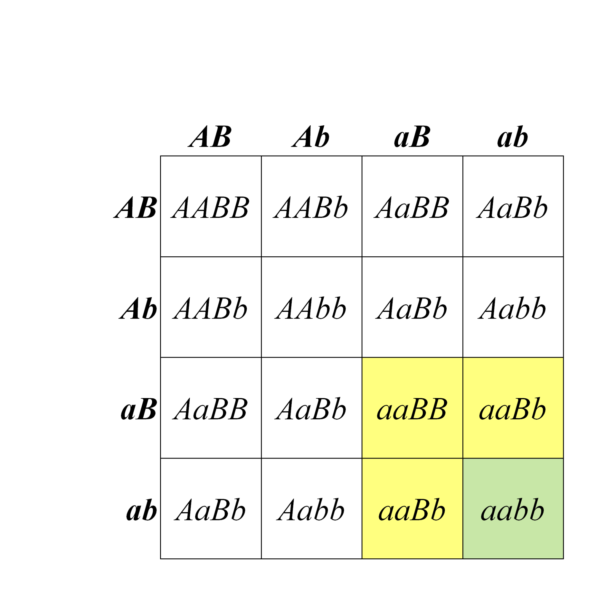 8.3 Epistasis and Other Gene Interactions – Open Genetics