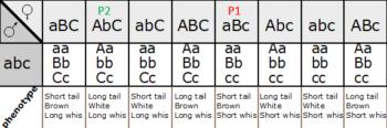 Three Point Cross Example Questions 11.3 Two-Point and Three-Point Crosses - Introduction to Genetics